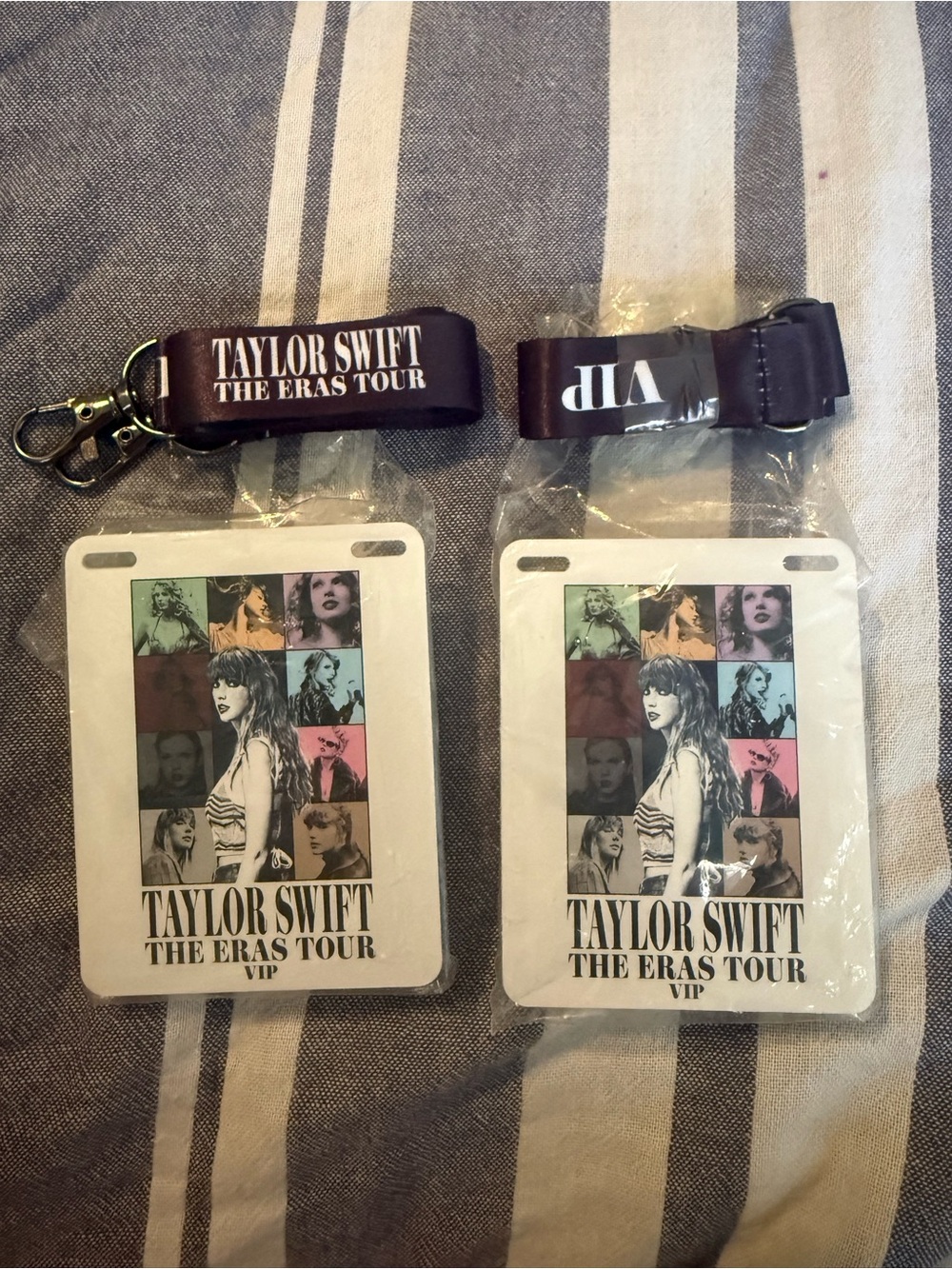 Taylor Swift VIP Lanyard & Two White Pass Holders